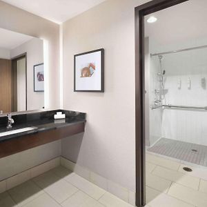 King Studio Roll Shower